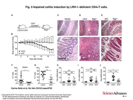 Fig. 5 Impaired colitis induction by LRH-1–deficient CD4+T cells.