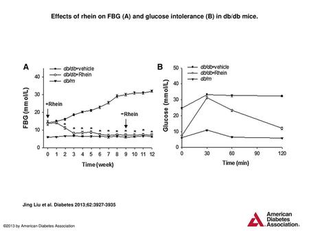 Effects of rhein on FBG (A) and glucose intolerance (B) in db/db mice.
