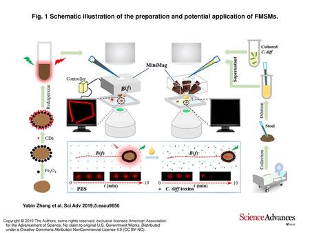 Fig. 1 Schematic illustration of the preparation and potential application of FMSMs. Schematic illustration of the preparation and potential application.