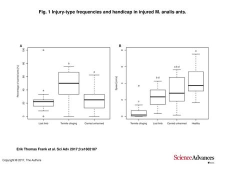 Fig. 1 Injury-type frequencies and handicap in injured M. analis ants.