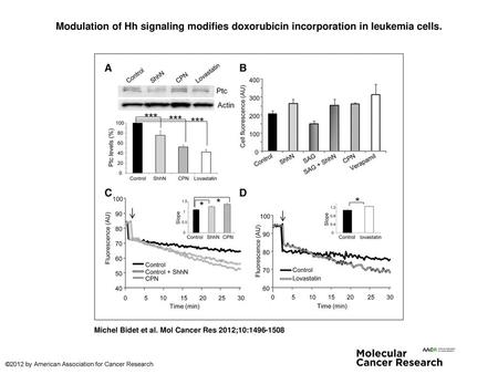 Modulation of Hh signaling modifies doxorubicin incorporation in leukemia cells. Modulation of Hh signaling modifies doxorubicin incorporation in leukemia.