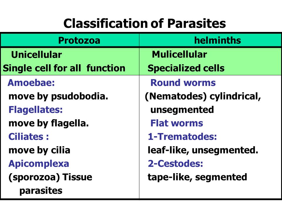 helminthiases protozoa