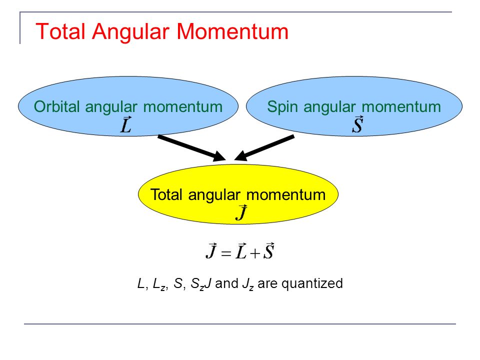 Total Angular Momentum L L Z S S Z J And J Z Are Quantized Orbital Angular Momentumspin Angular Momentum Total Angular Momentum Ppt Download