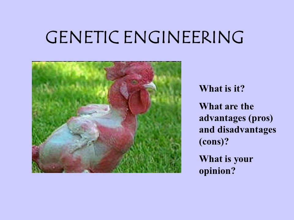 GENETIC ENGINEERING What is it? What are the advantages (pros) and  disadvantages (cons)? What is your opinion? - ppt download