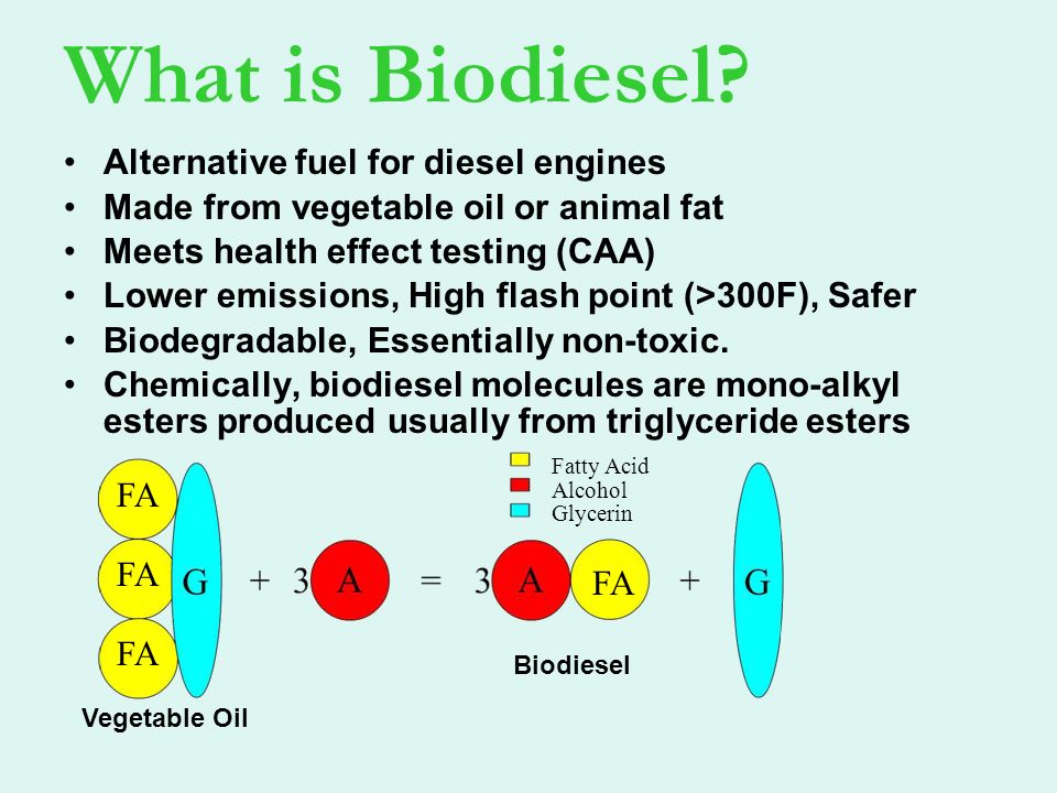 What is Biodiesel? Alternative fuel for diesel engines Made from vegetable oil or animal fat Meets health effect testing (CAA) Lower emissions, High flash. - ppt download What is Biodiesel? Alternative fuel for diesel engines Made from vegetable oil or animal fat Meets health effect testing (CAA) Lower emissions, High flash. - ppt download