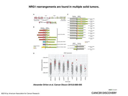 NRG1 rearrangements are found in multiple solid tumors.
