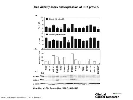 Cell viability assay and expression of COX protein.