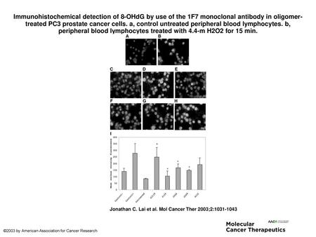 Immunohistochemical detection of 8-OHdG by use of the 1F7 monoclonal antibody in oligomer-treated PC3 prostate cancer cells. a, control untreated peripheral.