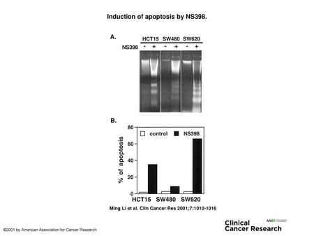 Induction of apoptosis by NS398.