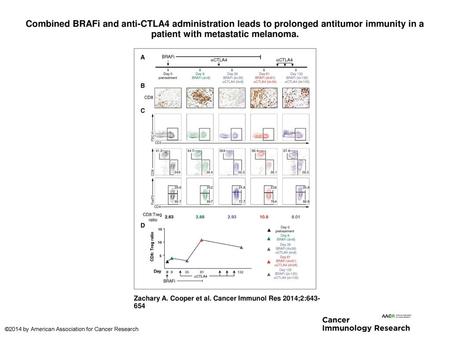 Combined BRAFi and anti-CTLA4 administration leads to prolonged antitumor immunity in a patient with metastatic melanoma. Combined BRAFi and anti-CTLA4.