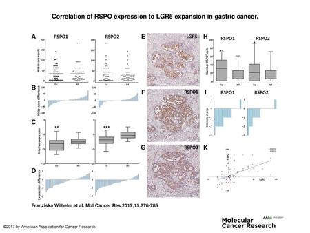 Correlation of RSPO expression to LGR5 expansion in gastric cancer.