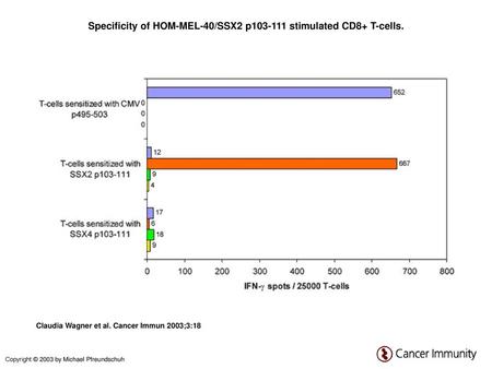 Specificity of HOM-MEL-40/SSX2 p stimulated CD8+ T-cells.