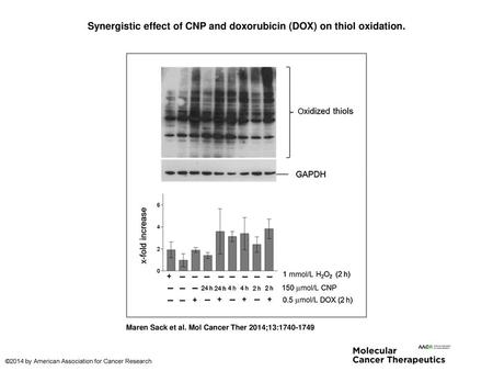 Synergistic effect of CNP and doxorubicin (DOX) on thiol oxidation.