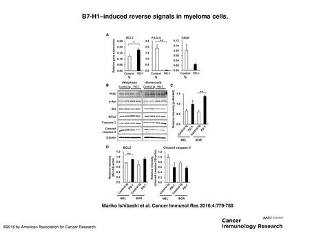 B7-H1–induced reverse signals in myeloma cells.