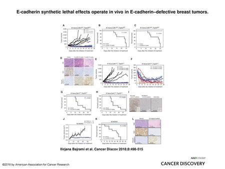 E-cadherin synthetic lethal effects operate in vivo in E-cadherin–defective breast tumors. E-cadherin synthetic lethal effects operate in vivo in E-cadherin–defective.