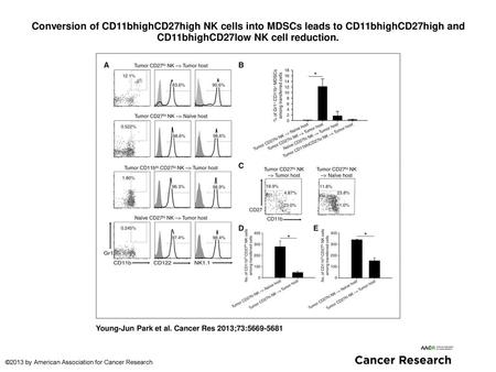 Conversion of CD11bhighCD27high NK cells into MDSCs leads to CD11bhighCD27high and CD11bhighCD27low NK cell reduction. Conversion of CD11bhighCD27high.