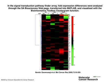 In the signal transduction pathway finder array, fold expression differences were analyzed through the SA Biosciences Web page, transferred into MATLAB,