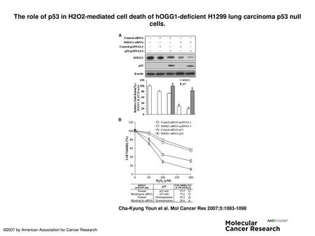 The role of p53 in H2O2-mediated cell death of hOGG1-deficient H1299 lung carcinoma p53 null cells. The role of p53 in H2O2-mediated cell death of hOGG1-deficient.
