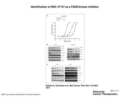 Identification of NSC as a FADD-kinase inhibitor.
