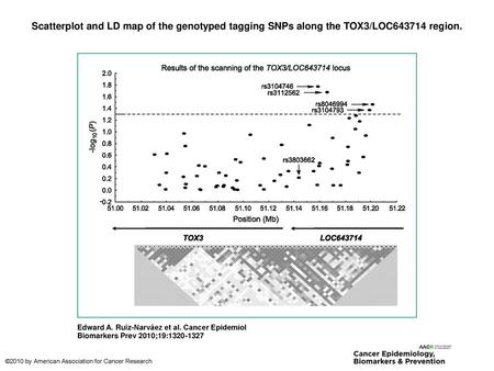 Scatterplot and LD map of the genotyped tagging SNPs along the TOX3/LOC643714 region. Scatterplot and LD map of the genotyped tagging SNPs along the TOX3/LOC643714.