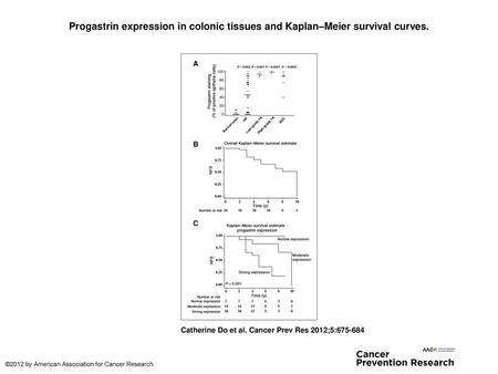 Progastrin expression in colonic tissues and Kaplan–Meier survival curves. Progastrin expression in colonic tissues and Kaplan–Meier survival curves. A,