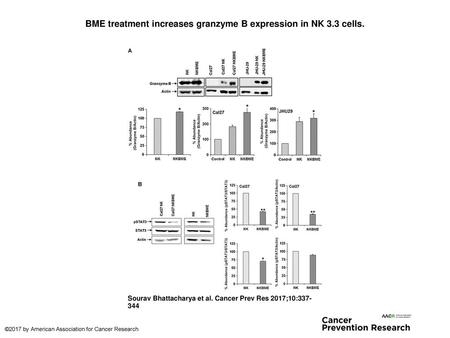 BME treatment increases granzyme B expression in NK 3.3 cells.