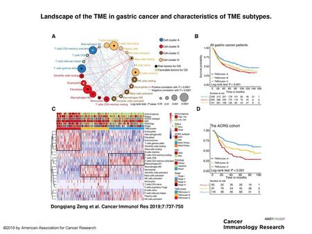 Landscape of the TME in gastric cancer and characteristics of TME subtypes. Landscape of the TME in gastric cancer and characteristics of TME subtypes.