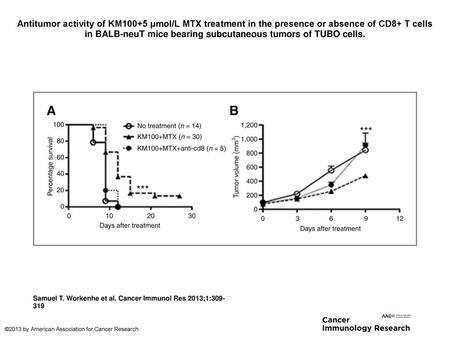 Antitumor activity of KM100+5 μmol/L MTX treatment in the presence or absence of CD8+ T cells in BALB-neuT mice bearing subcutaneous tumors of TUBO cells.