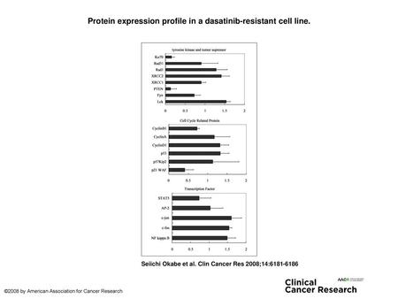 Protein expression profile in a dasatinib-resistant cell line.