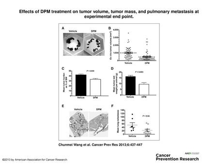 Effects of DPM treatment on tumor volume, tumor mass, and pulmonary metastasis at experimental end point. Effects of DPM treatment on tumor volume, tumor.