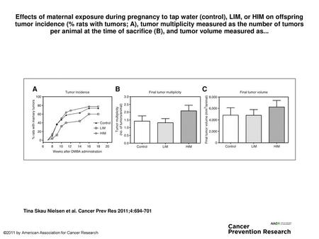 Effects of maternal exposure during pregnancy to tap water (control), LIM, or HIM on offspring tumor incidence (% rats with tumors; A), tumor multiplicity.