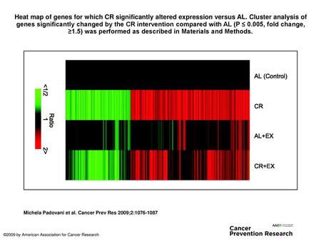 Heat map of genes for which CR significantly altered expression versus AL. Cluster analysis of genes significantly changed by the CR intervention compared.