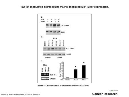 TGF-β1 modulates extracellular matrix–mediated MT1-MMP expression.