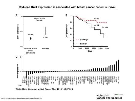 Reduced BAI1 expression is associated with breast cancer patient survival. Reduced BAI1 expression is associated with breast cancer patient survival. A,