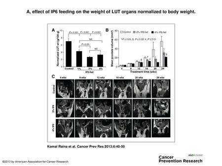 A, effect of IP6 feeding on the weight of LUT organs normalized to body weight. A, effect of IP6 feeding on the weight of LUT organs normalized to body.