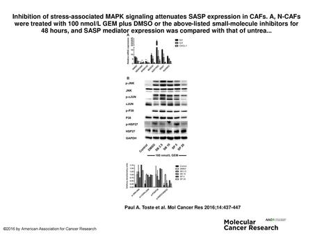 Inhibition of stress-associated MAPK signaling attenuates SASP expression in CAFs. A, N-CAFs were treated with 100 nmol/L GEM plus DMSO or the above-listed.