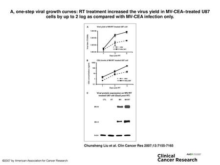 A, one-step viral growth curves: RT treatment increased the virus yield in MV-CEA–treated U87 cells by up to 2 log as compared with MV-CEA infection only.