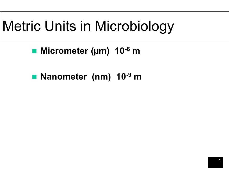 1 Metric Units in Microbiology Micrometer (µm) m Nanometer (nm) m. - ppt  download