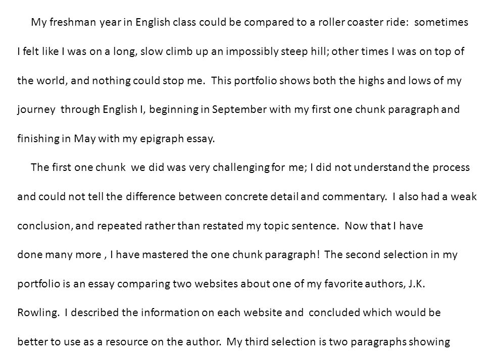first time on a roller coaster essay