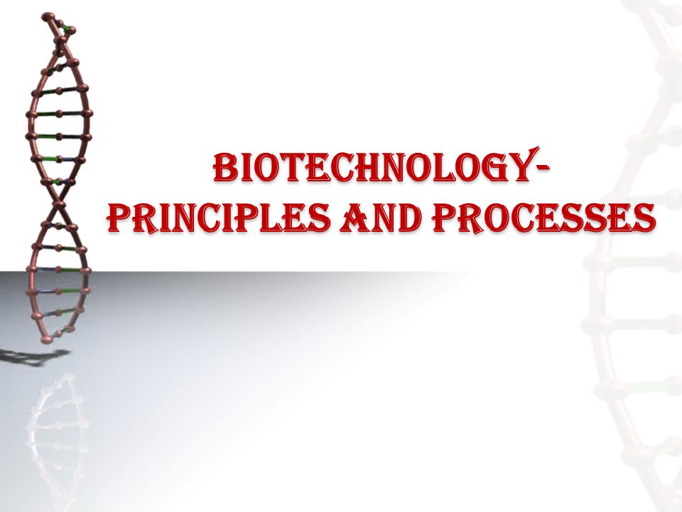 BIOTECHNOLOGY- principles and processes. Introduction to biotechnology  Definition : Biotechnology is the use of living systems and organisms to  develop. - ppt download