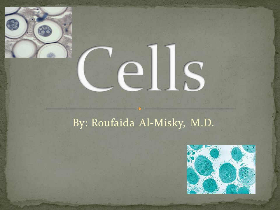 By: Roufaida Al-Misky, M.D.. What is a cell? Human Cells Different Kinds of  Human Cells I. Brain Cells II. Heart Cells III. Muscle Cells IV. Bone  Cells. - ppt download