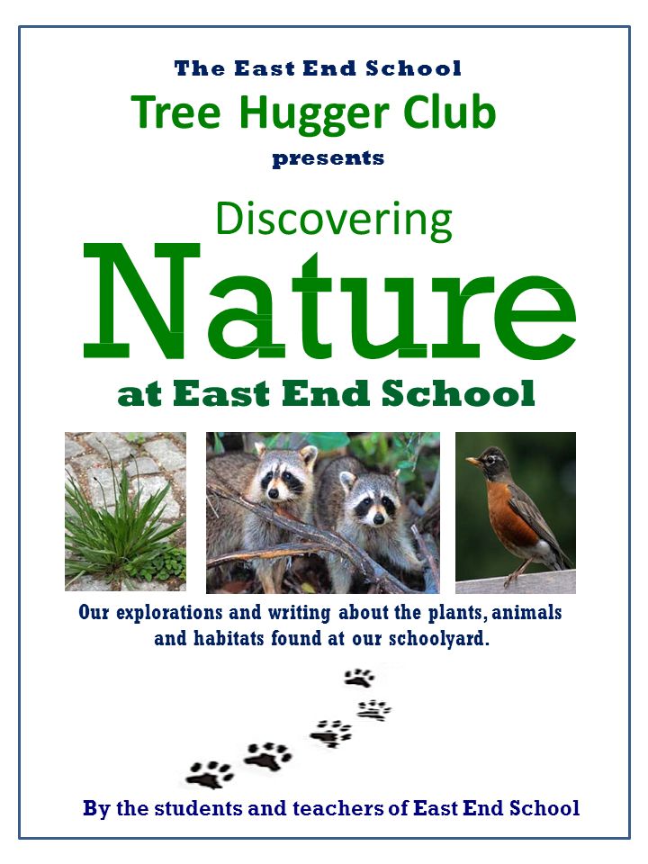 The East End School presents Discovering at East End School TreeHugger Club  By the students and teachers of East End School Our explorations and  writing. - ppt download