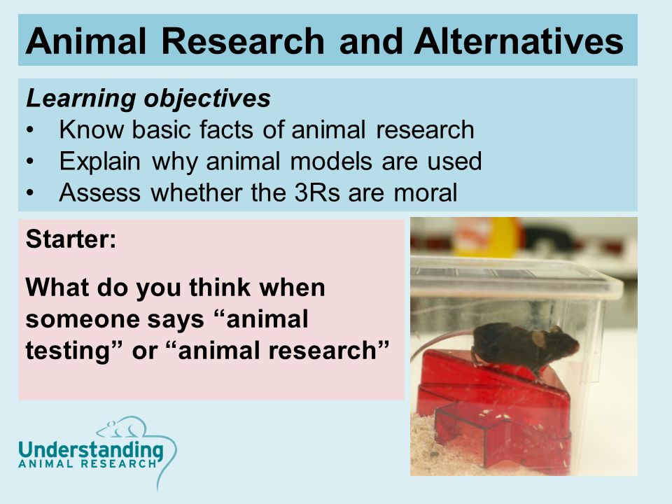 Learning objectives Know basic facts of animal research Explain why animal  models are used Assess whether the 3Rs are moral Starter: What do you  think. - ppt download
