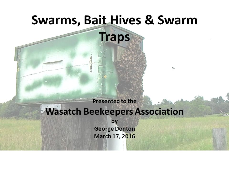 Swarms, Bait Hives & Swarm Traps - ppt video online download