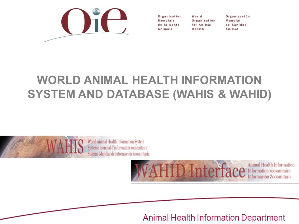 Animal Health Information Department WORLD ANIMAL HEALTH INFORMATION SYSTEM  AND DATABASE (WAHIS & WAHID) - ppt download
