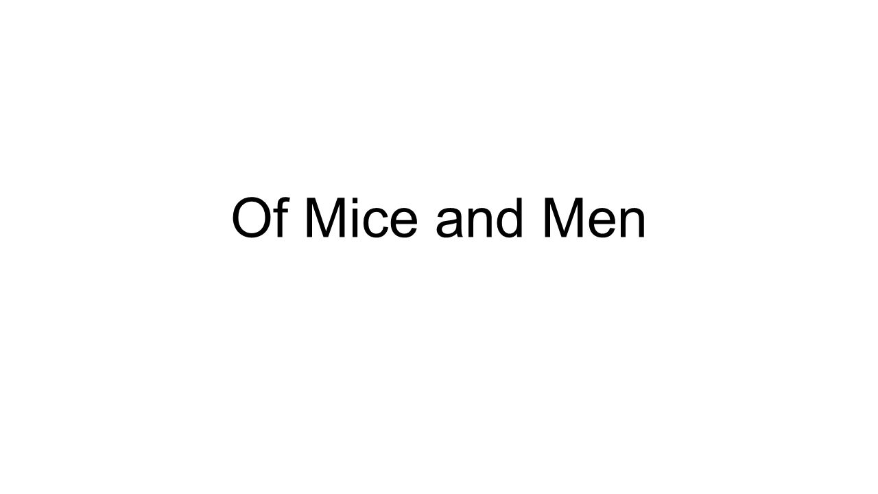 Of Mice and Men. Characters Curley "That gloves fulla vaseline“ George  stood still, watching the angry man no big son-of-a-bitch is gonna laugh at  me. - ppt download