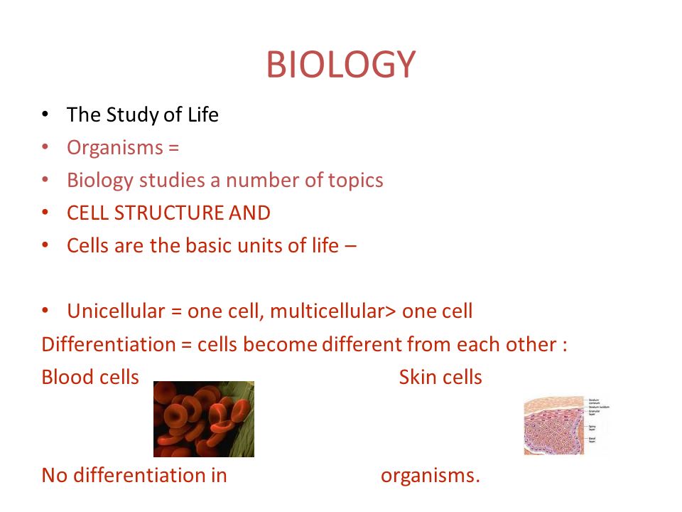 interesting biology presentation ideas