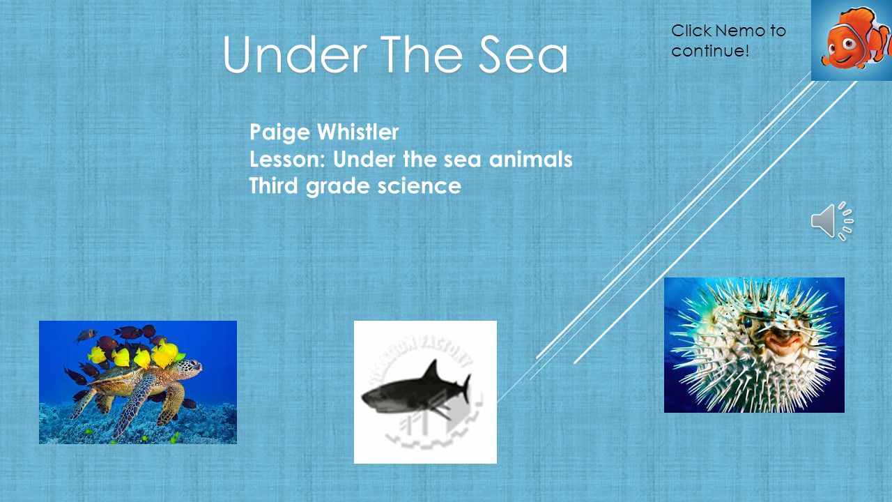 Under The Sea Paige Whistler Lesson: Under the sea animals Third grade  science Click Nemo to continue! - ppt download