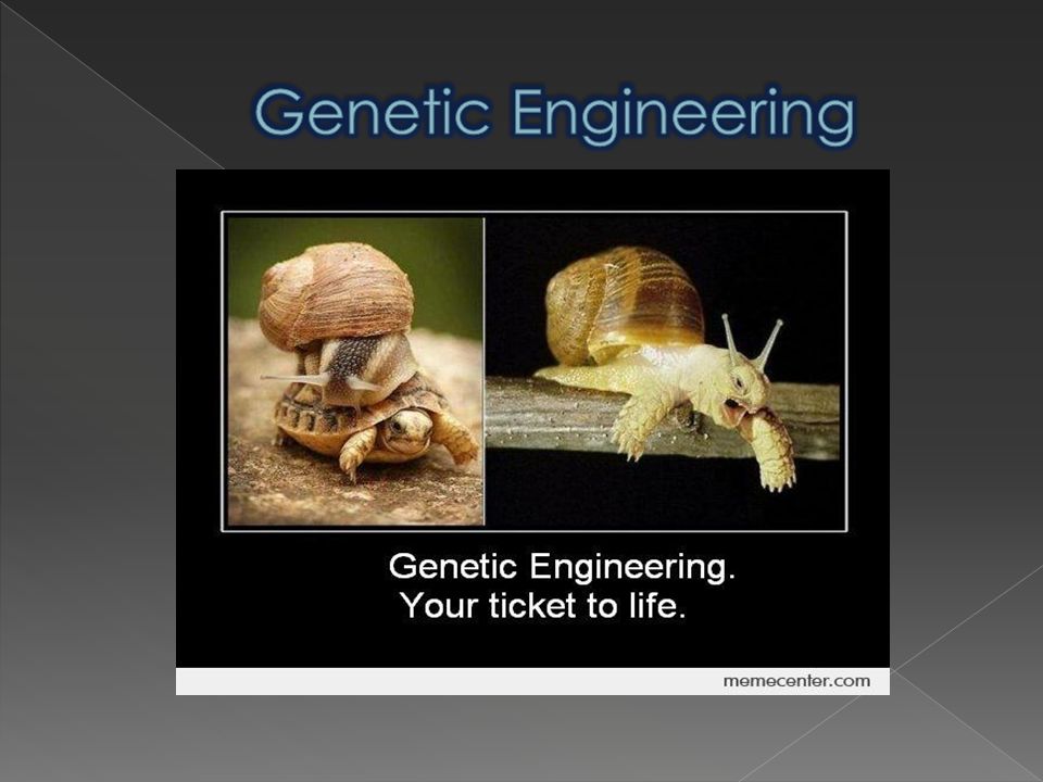 What is Genetic Engineering?  Types of GE  Aims  Ethical issues   Organizations against modified food  Arguments for and against  Sources.  - ppt download