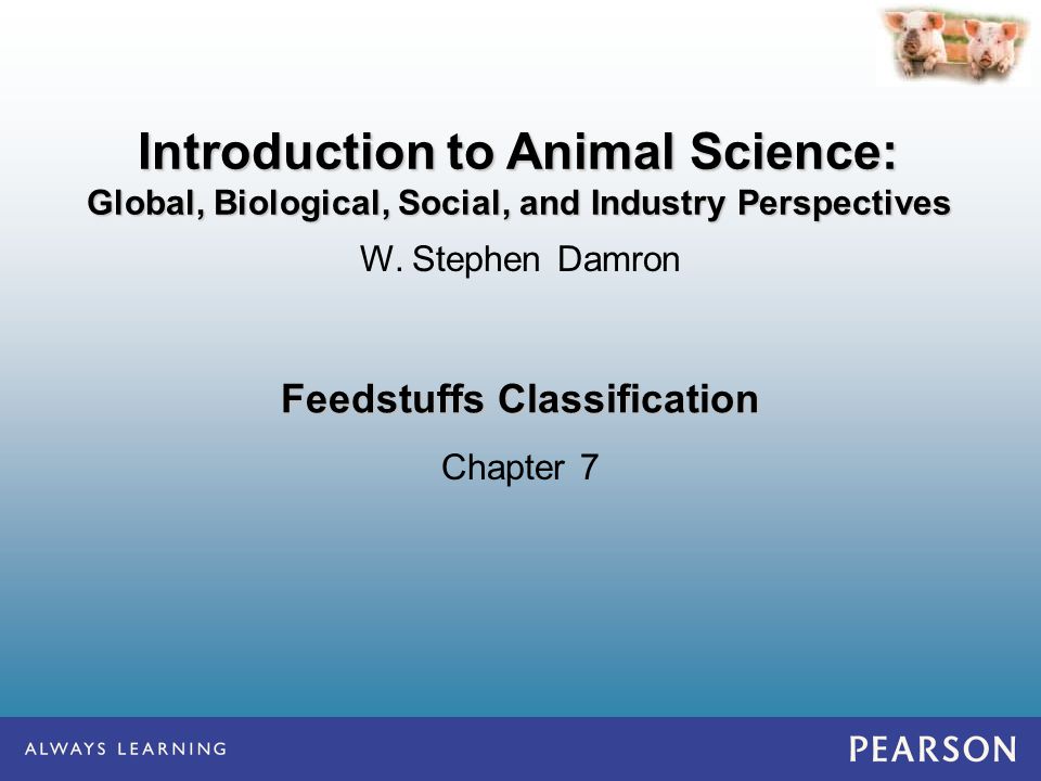 Feedstuffs Classification Chapter 7 W. Stephen Damron Introduction to Animal  Science: Global, Biological, Social, and Industry Perspectives. - ppt  download